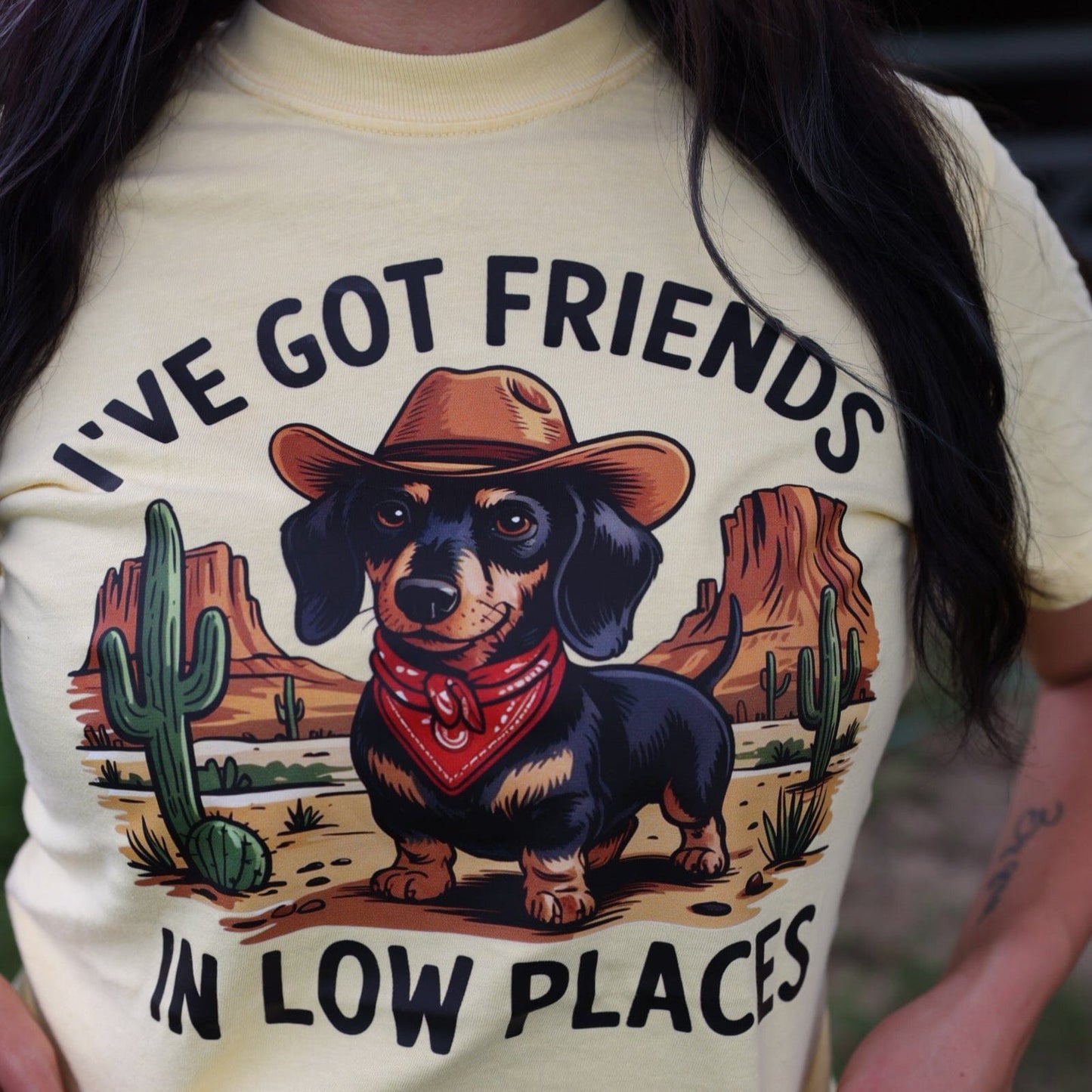 Friends in Low Places Cowboy Dog Soft Graphic Tee