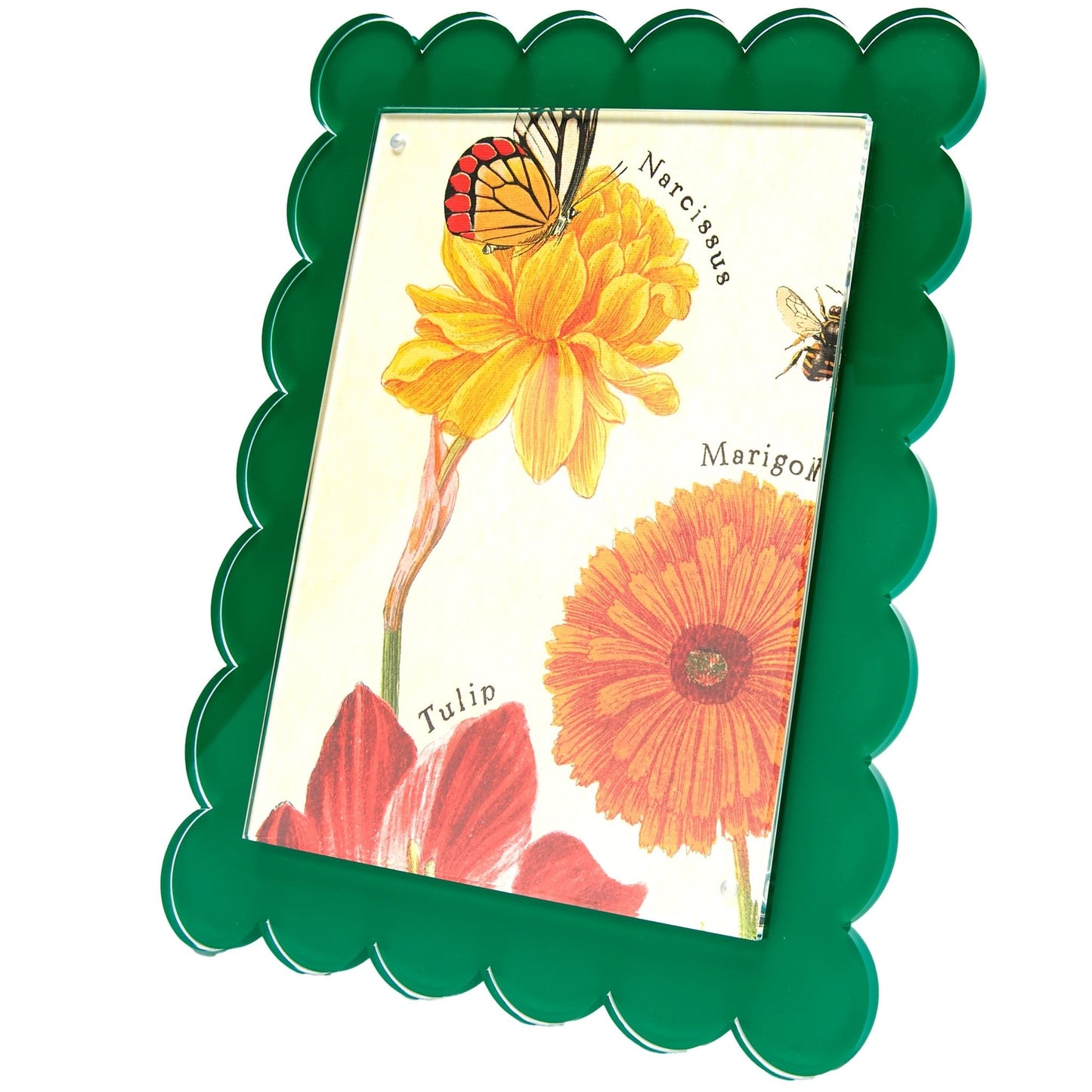 Green Acrylic 8" x 10" Scallop Frame
