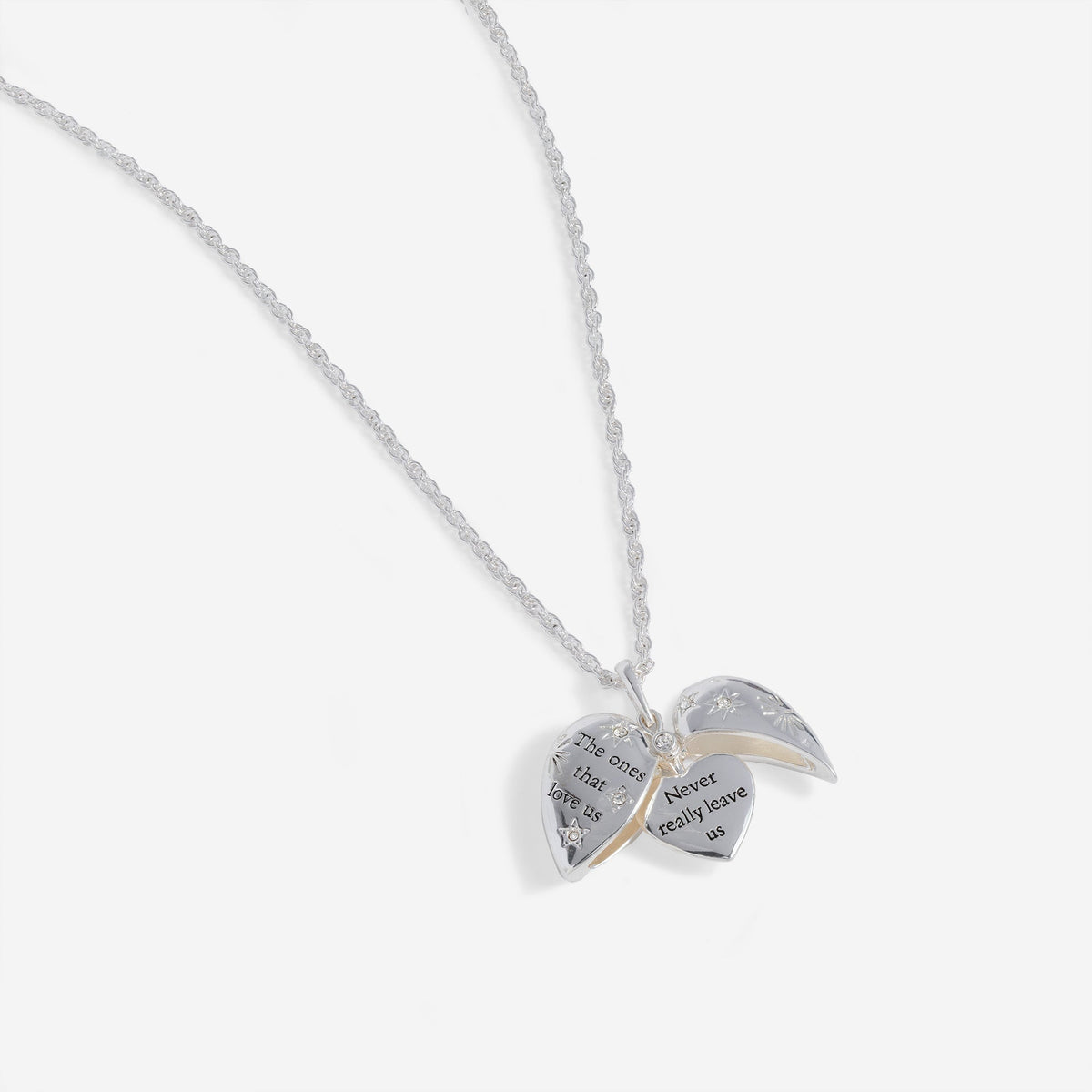 Harry Potter™ 'The Ones That Love Us' Locket Necklace