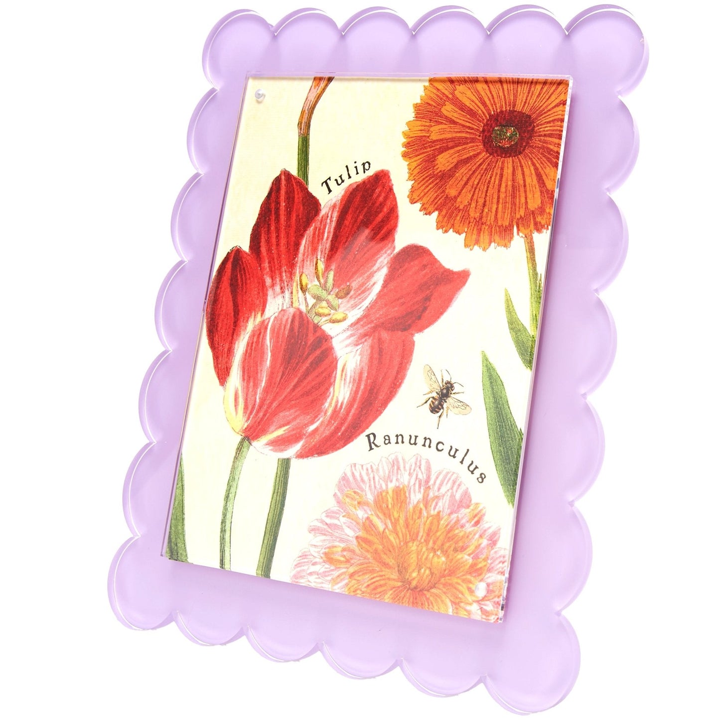 Lavender Acrylic 8" x 10" Scallop Frame