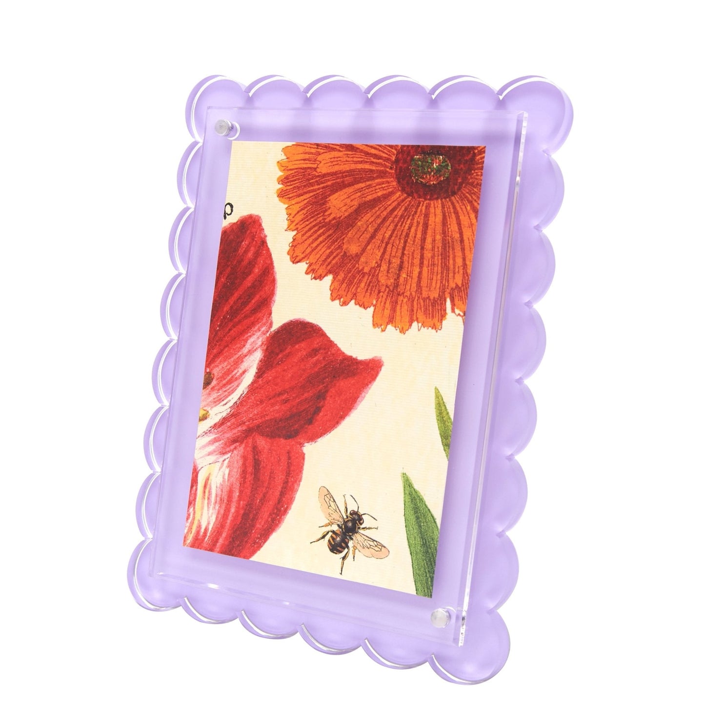 Lavender Acrylic Scallop Frame