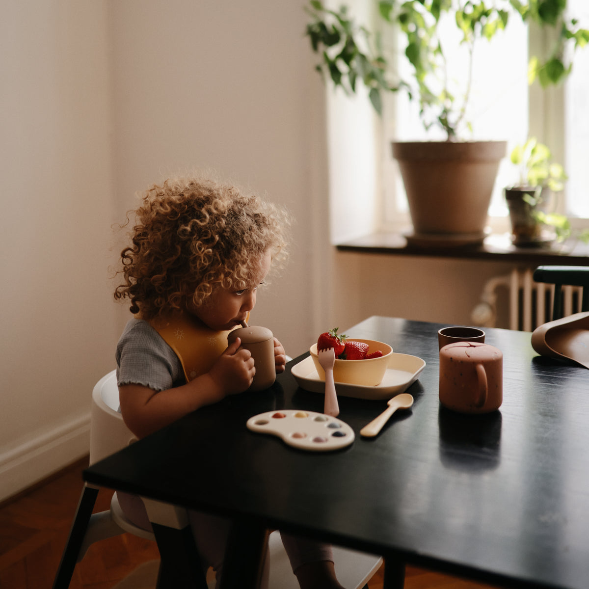 Square Dinnerware Plates