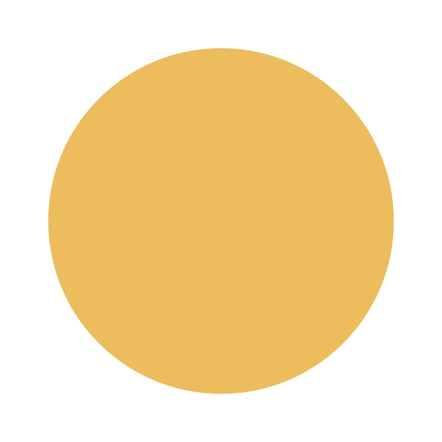 Marigold | Bamboo Headband Bow