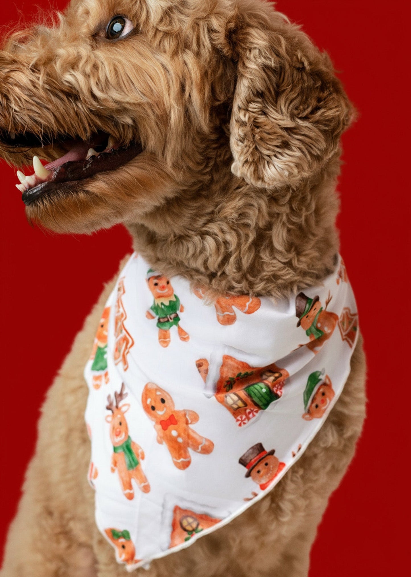 Christmas | Holiday Gingerbread | Bamboo Pet Bandana