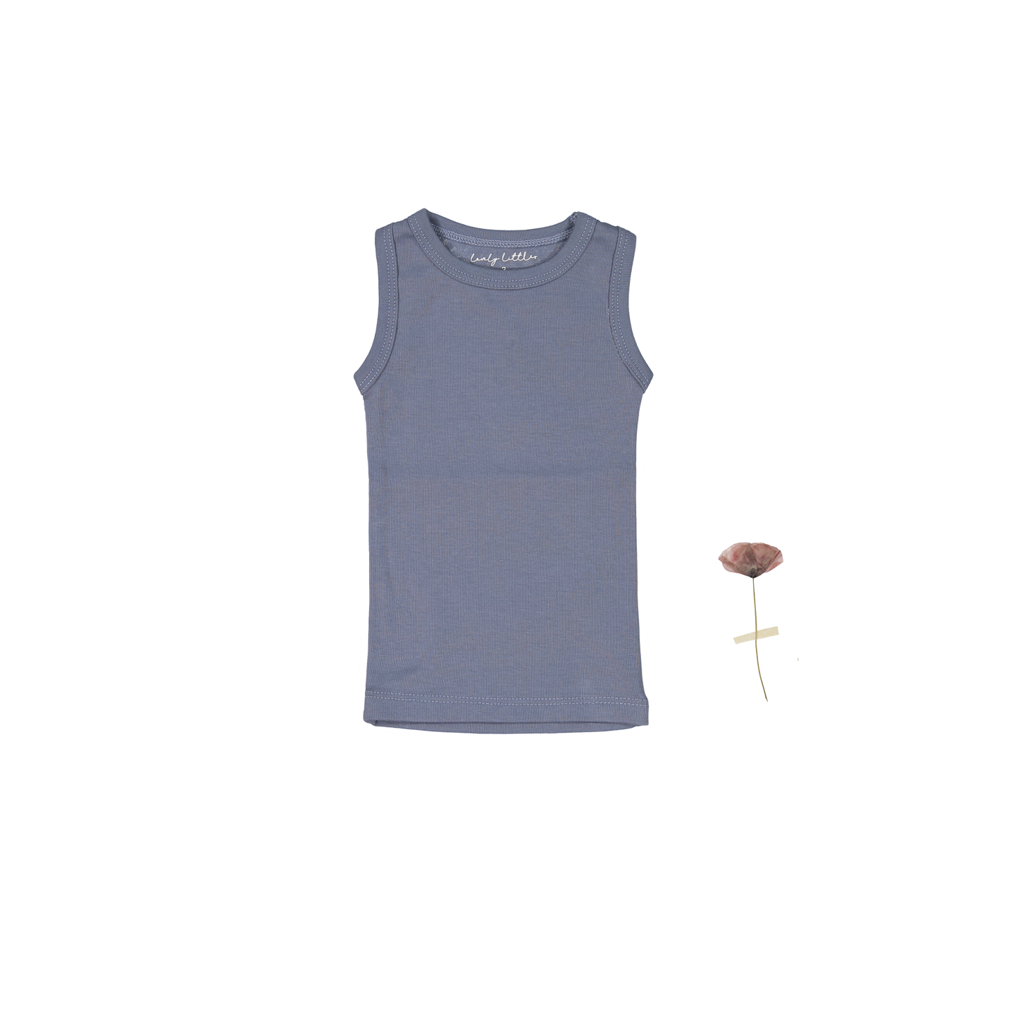 The Tank - Midnight