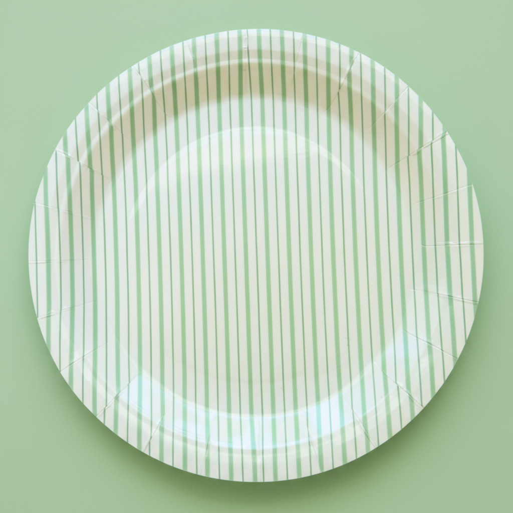 Mint Fine Stripes Paper Plates 7" (Set of 8) – Pastel Party Supplies