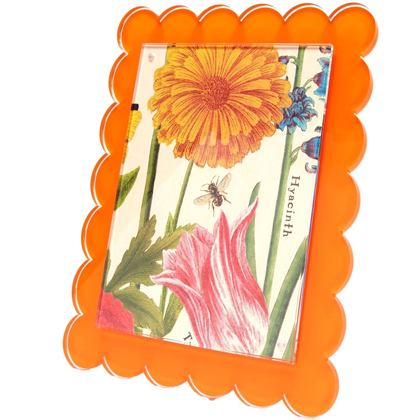 Orange Acrylic 8" x 10" Scallop Frame