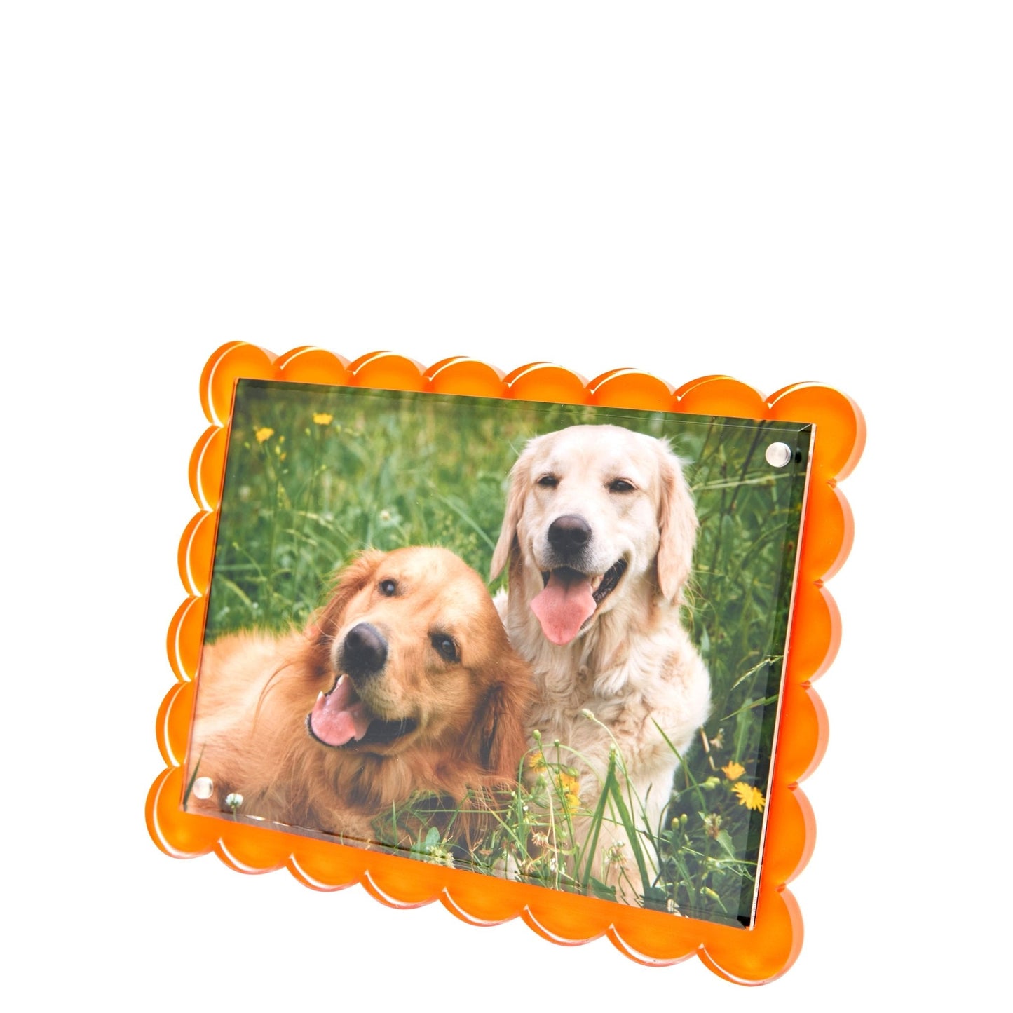 Orange Acrylic Scallop Frame