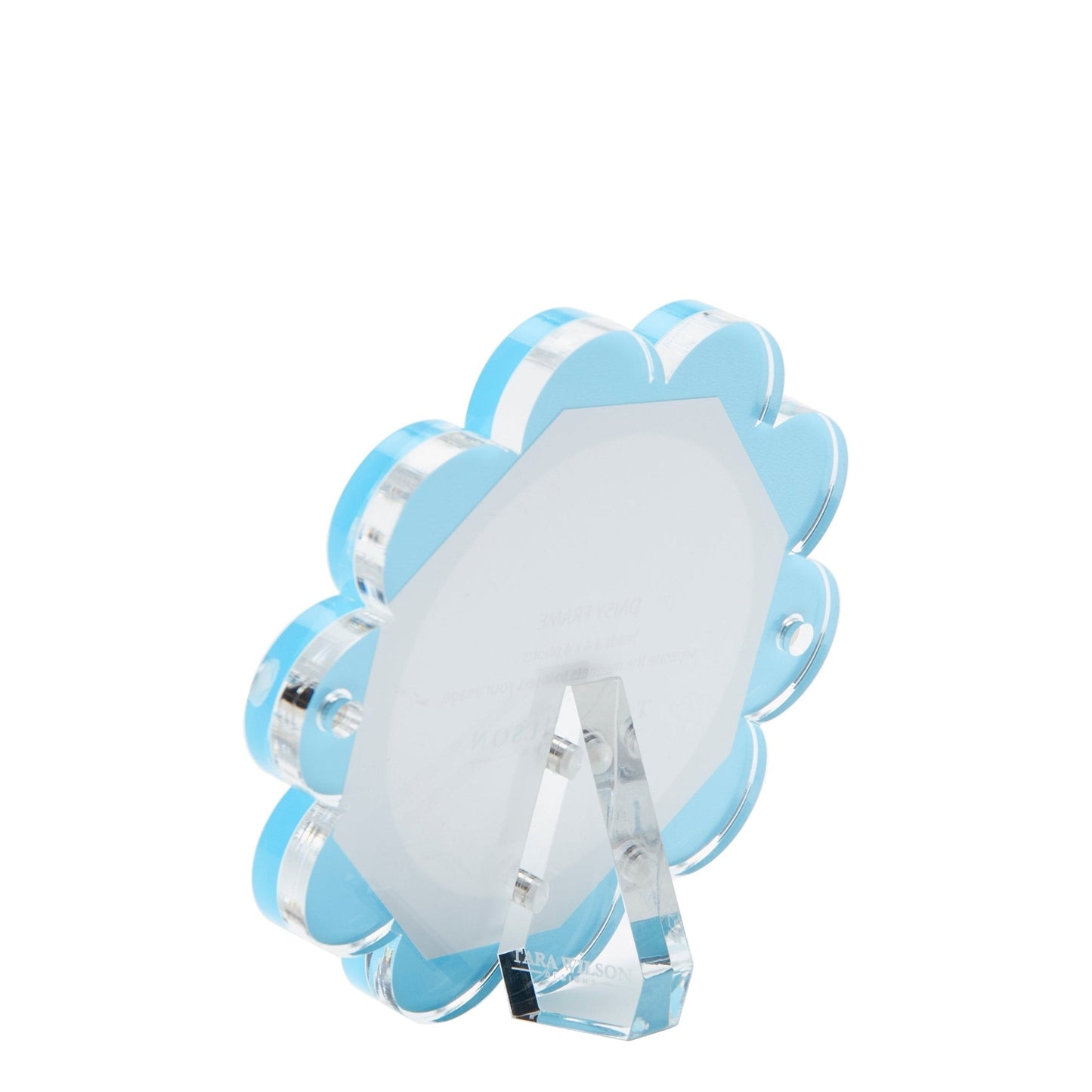 Pastel Blue Acrylic Daisy Frame