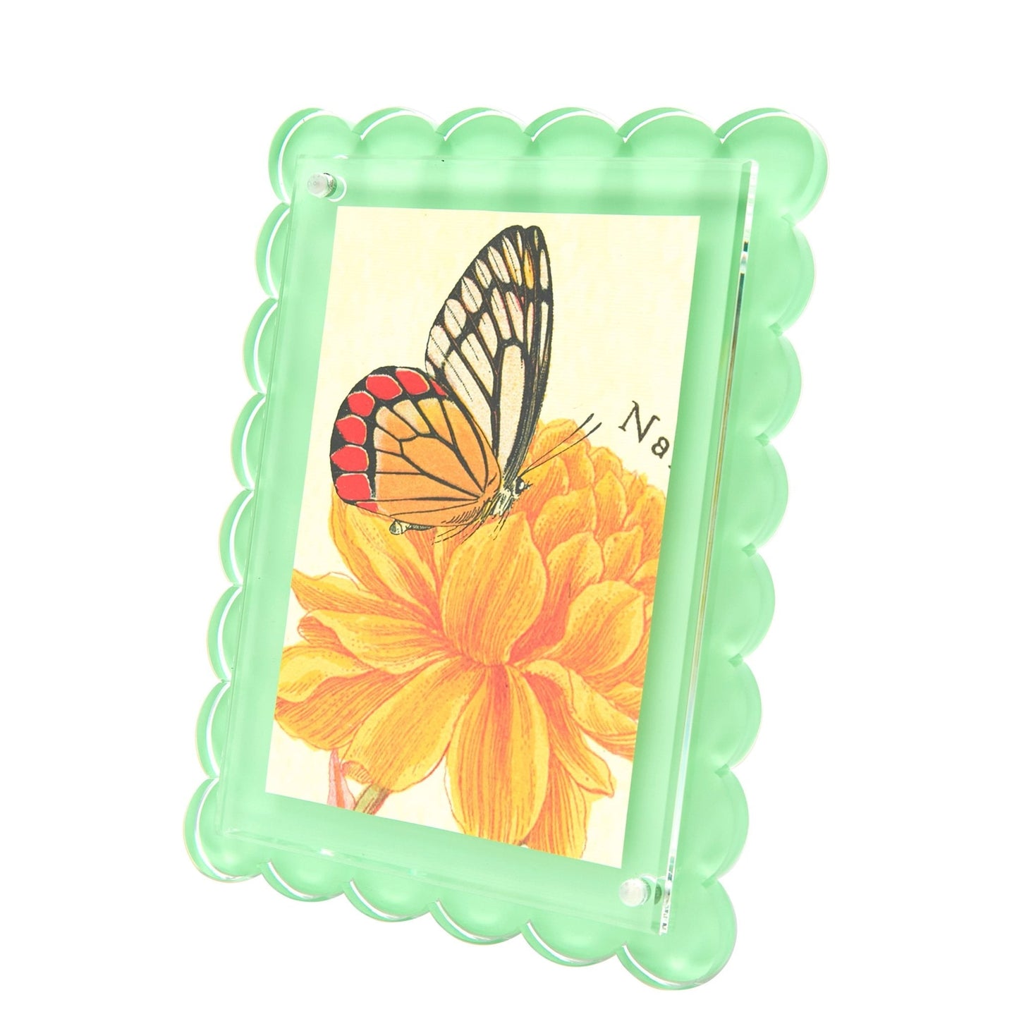 Pastel Green Acrylic Scallop Frame