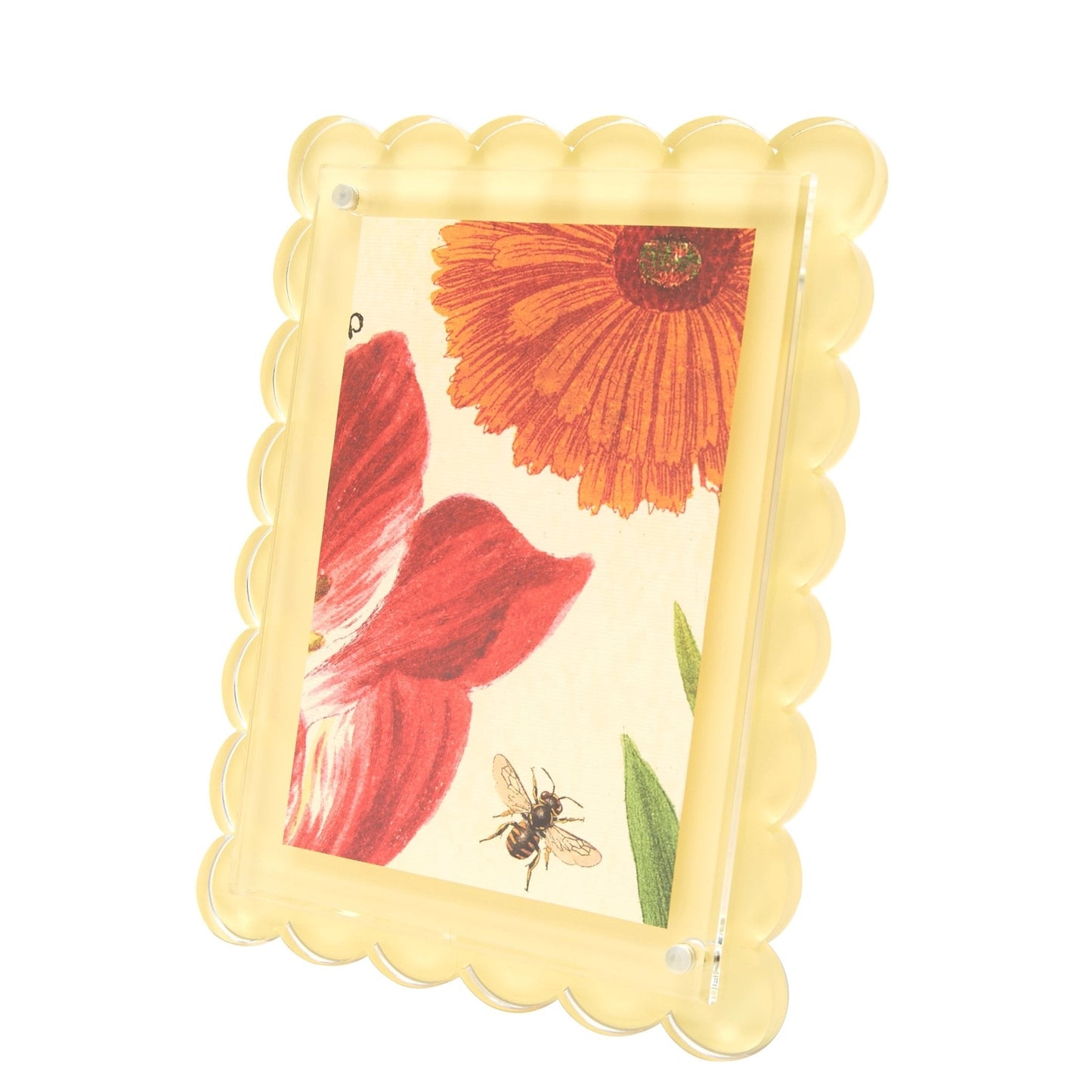 Pastel Yellow Acrylic Scallop Frame