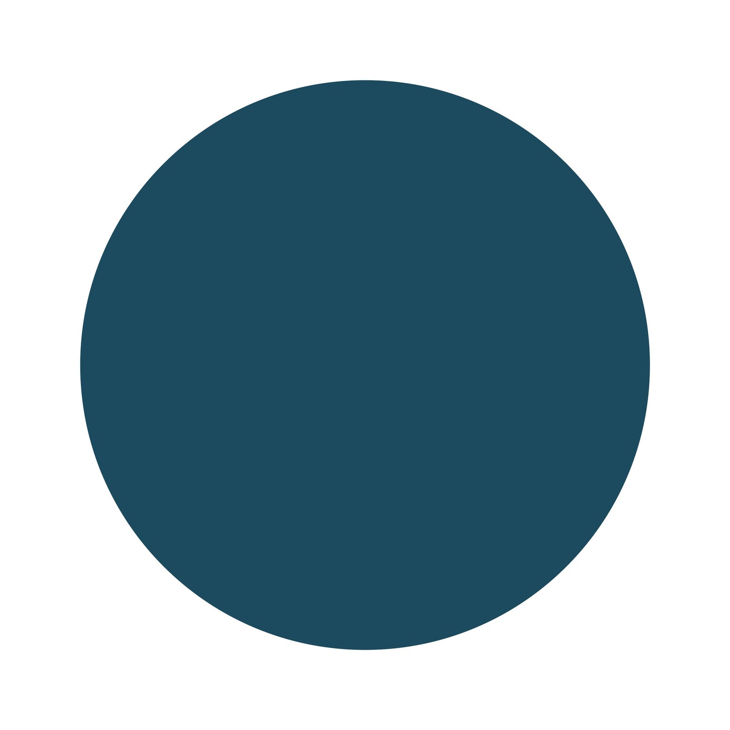 Regal | Bamboo Headband Bow