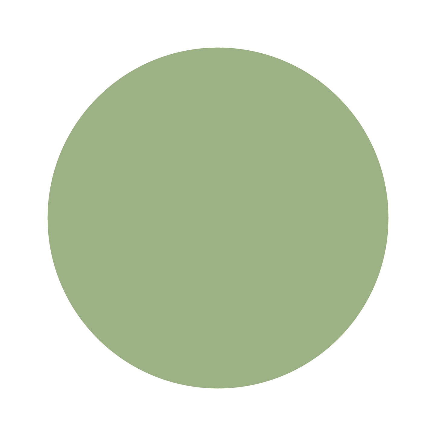 Sage Green | Bamboo Scrunchie