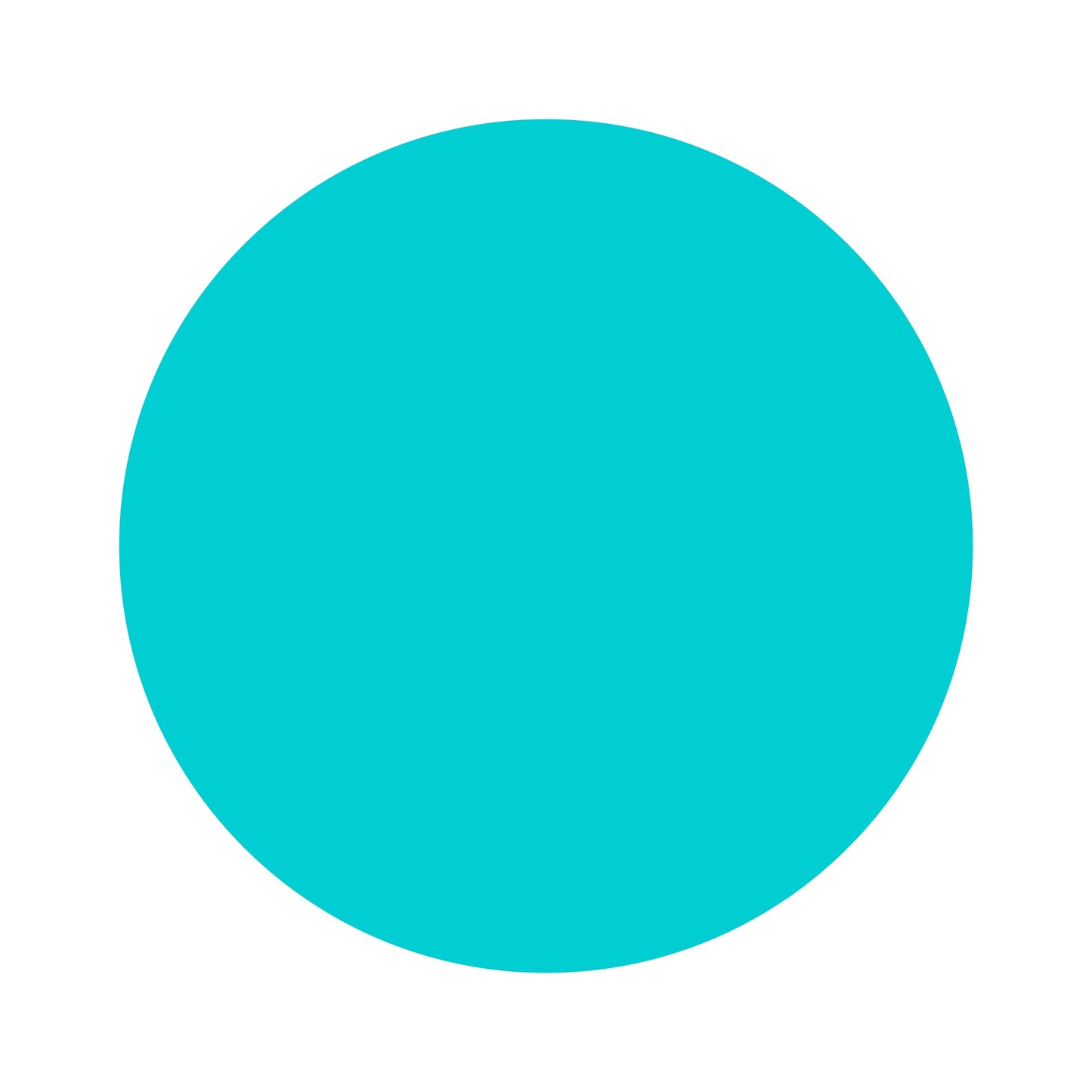 Turquoise | Bamboo Scrunchie